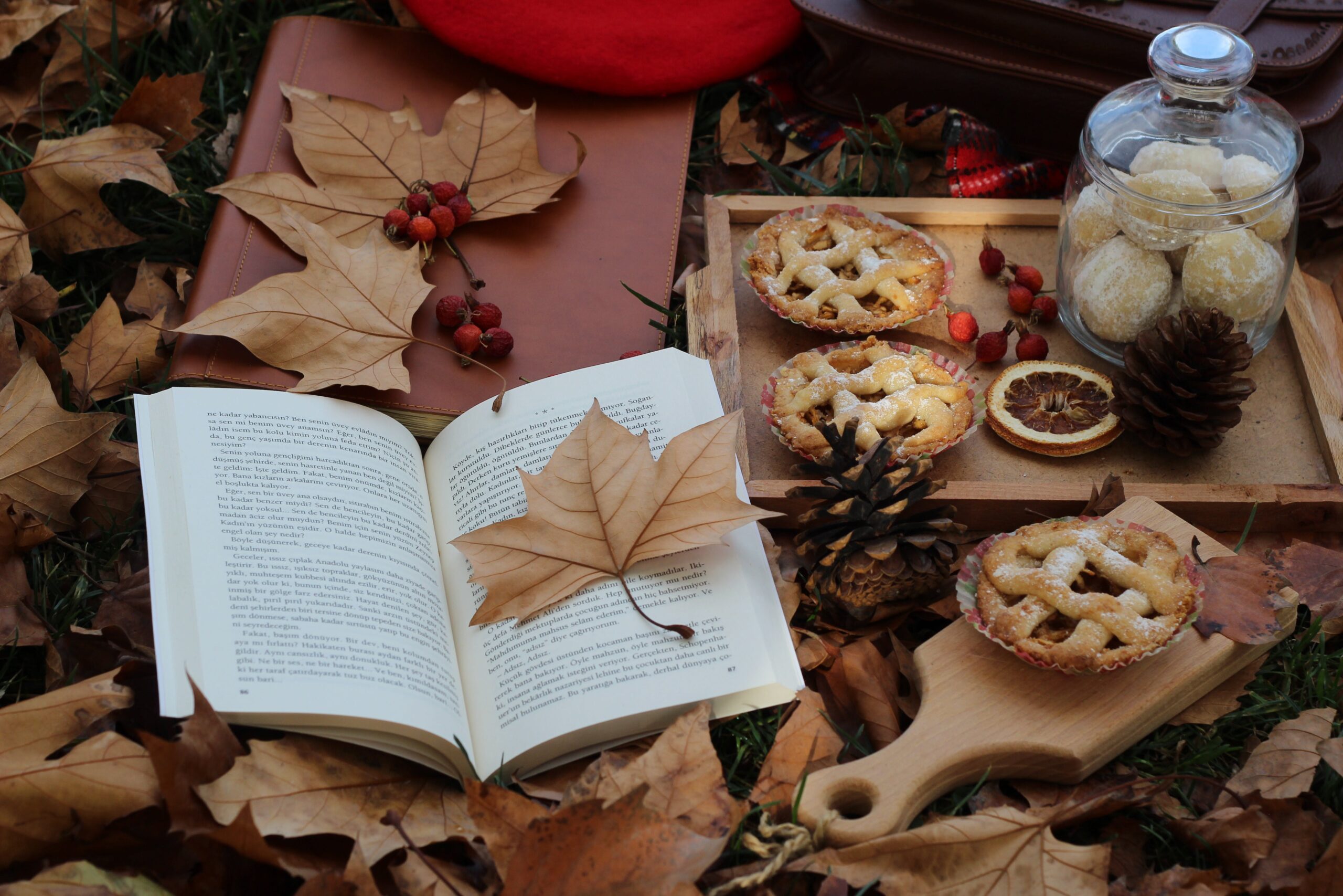 A Book Among Flowers